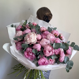 Логотип @anaavemlife - anaavem life