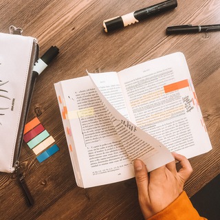 Логотип @anaavilaosuna - Ana Ávila