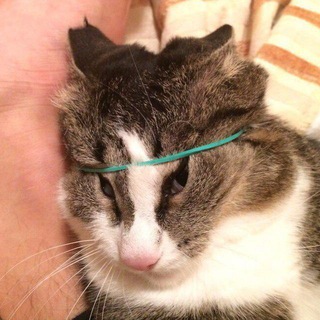 Логотип @anal_anekdot - Архив анекдотов и юморесок