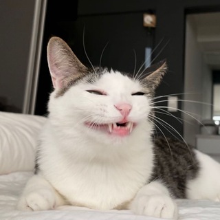 Логотип @anal_dviz - Aнaлитический Движ