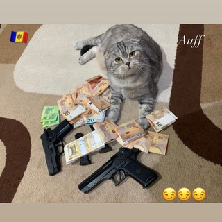 Логотип @analyticmd - Cash 💰 Moldova 🇲🇩