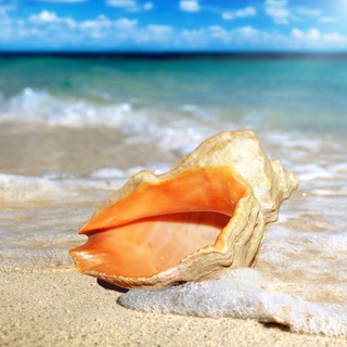 Логотип @anapao - Anapa.News | Главные новости Анапы