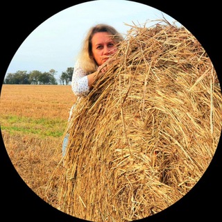 Логотип @anapaone - Зоя Отдых в Анапе