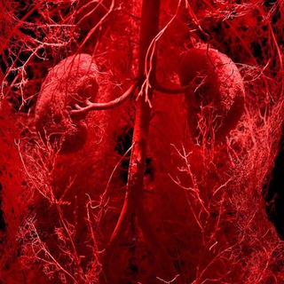 Логотип @anatomia_strasti - Grey's Anatomy🫀