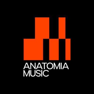Логотип @anatomiamusic - ИМПРОВИЗАЦИЯ ПО BERKLEE | ОНЛАЙН-ШКОЛА АНАТОМИЯ МУЗЫКИ