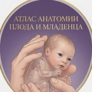 Логотип @anatomiavistorii - Анатом в истории 🧠