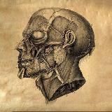 Логотип @anatomiya_3d - Анатомия 3D