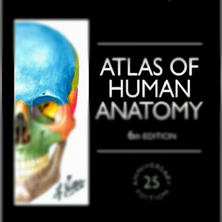 Логотип @anatomy_books - Anatomy