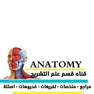 Логотип @anatomy_fahd - Anatomy