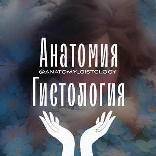 Логотип @anatomy_gistology - Анатомия | Гистология