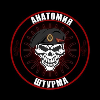 Логотип @anatomy_of_an_assault793 - «Анатомия Штурма»
