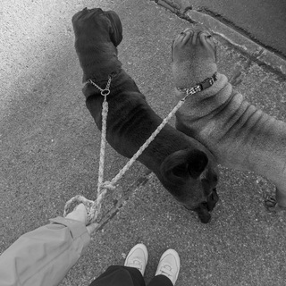 Логотип @ander_treki - Dr🖤