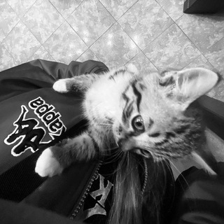 Логотип @ander_wonderland - страна чудес🥷🕸