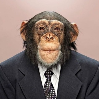 Логотип @andex0x - ANdex и крипта