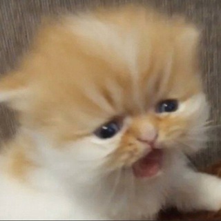 Логотип @andflame - ГОРИТ И ПАХНЕТ