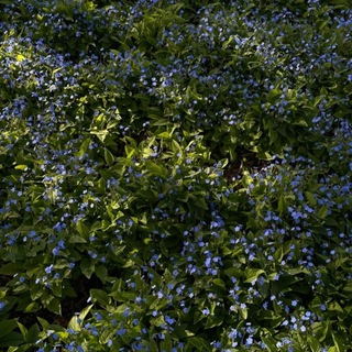 Логотип @andnothingstayss - бормотание вещей