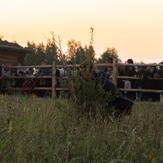 Логотип @andreysorokinykt - Фотограф ЯСИА Андрей Сорокин 📸