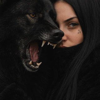 Логотип @andromedavi - ✨.•✧☽vi.diary☽✧•.✨