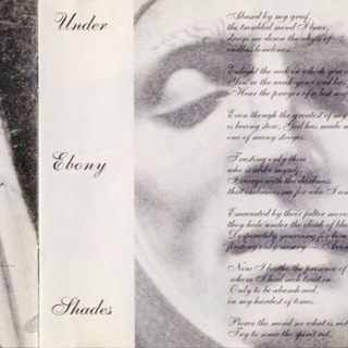 Логотип @andthesiren - The virgin