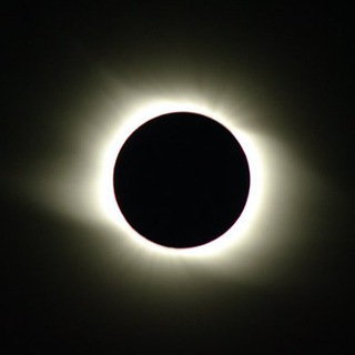 Логотип @andynetgallery - AndyNet Gallery