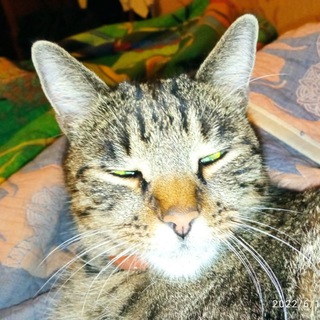 Логотип @anegdotdnya - АнекдотДня