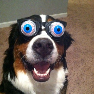 Логотип @anegdotyc - Анегдотус 😂