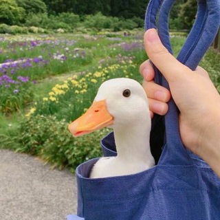 Логотип @anekdot_b2 - Анекдоты Дня