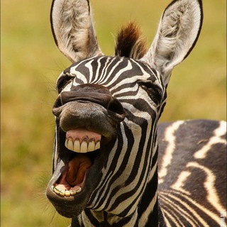 Логотип @anekdot_prikol_yumor - Анекдоты для всех