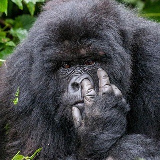 Логотип @anekdotandmem - 😂Мемы и анекдоты😂