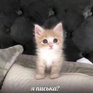 Логотип @anekdotdyrachok - АНЕКДОТЫ ДУРАЧКА