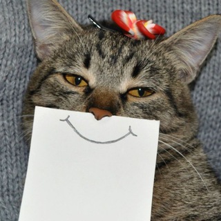 Логотип @anekdothumor123 - Анекдоты | Приколы | Юмор