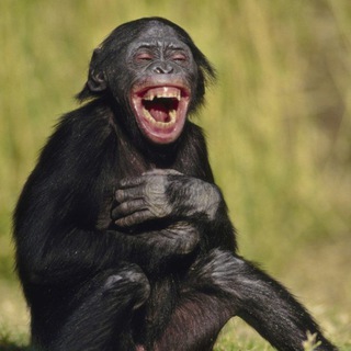 Логотип @anekdotidiot - Анекдот "Идиот"