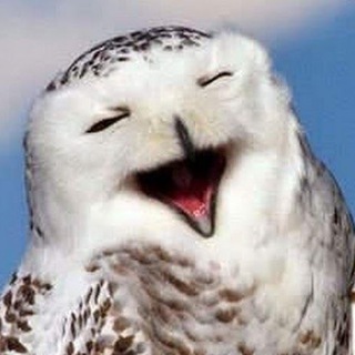 Логотип @anekdotoshnaya1 - Анекдотошная