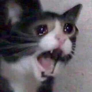 Логотип @anekdotru1 - Анекдоты🍀🥰