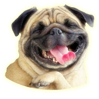 Логотип @anekdoty_pro - Анекдоты про