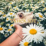 Логотип @aneki - Анекдот