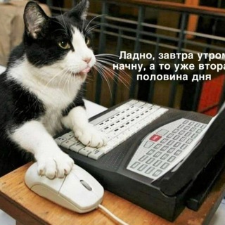 Логотип @anekimems - АНЕКДОТЫ | ЮМОР | МЕМЫ