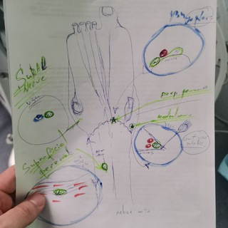 Логотип @anesteziologija - Практическая анестезиология