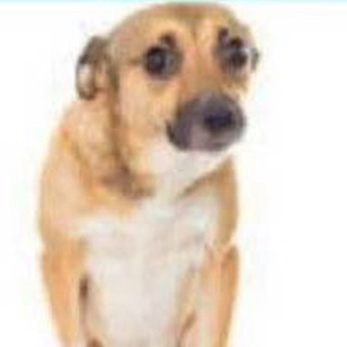 Логотип @ang0102a - 0102ang