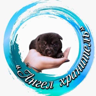 Логотип @angel_hranitel_khv - Приют"Ангел Хранитель" Хабаровск🦮