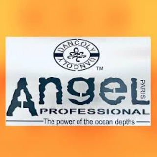 Логотип @angelprofessional_official_rf - ANGEL PROFESSIONAL