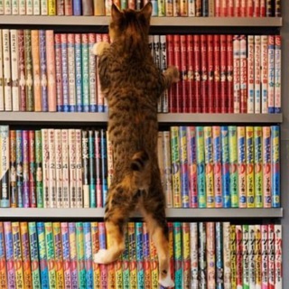 Логотип @angryreader - Злой читатель ☕️