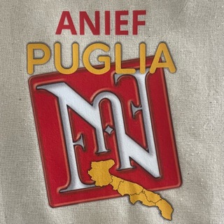 Логотип @anief_puglia - ANIEF Puglia_pasquale spinelli