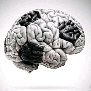 Логотип @anikimbaev - Футболиум