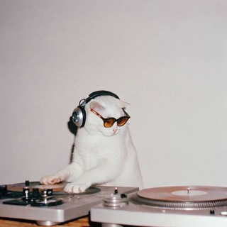 Логотип @anikmuyzic - АНИКМЮЗИК