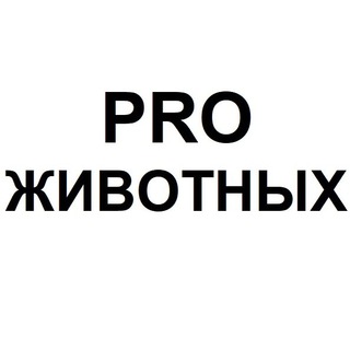 Логотип @animallives - PRO Животных | Животные