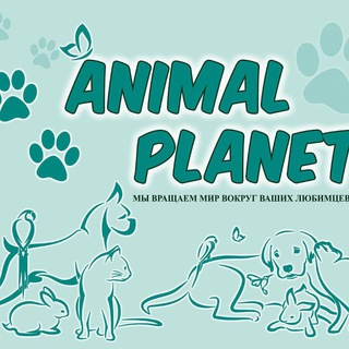 Логотип @animalplanetmlt - ЭнималПланет.млт