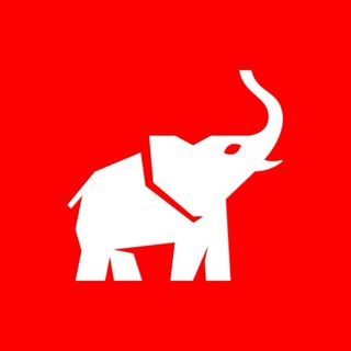 Логотип @animalpolitico - Animal Político