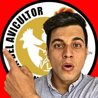 Логотип @animalproductionconsulta - POllOS DE ENGORDE PONEDORAS INTERNATIONAL Animal Production ✌🏽