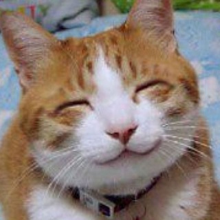 Логотип @animals202 - Advertising Your Pets For Free 🐵🐔🐶